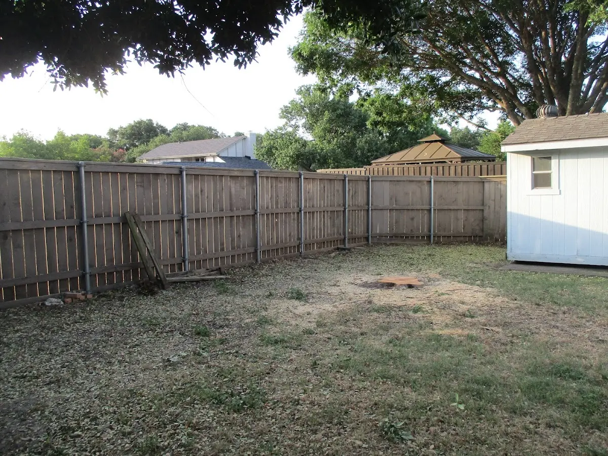 Cleared yard after professional tree removal in Mount Ephraim
